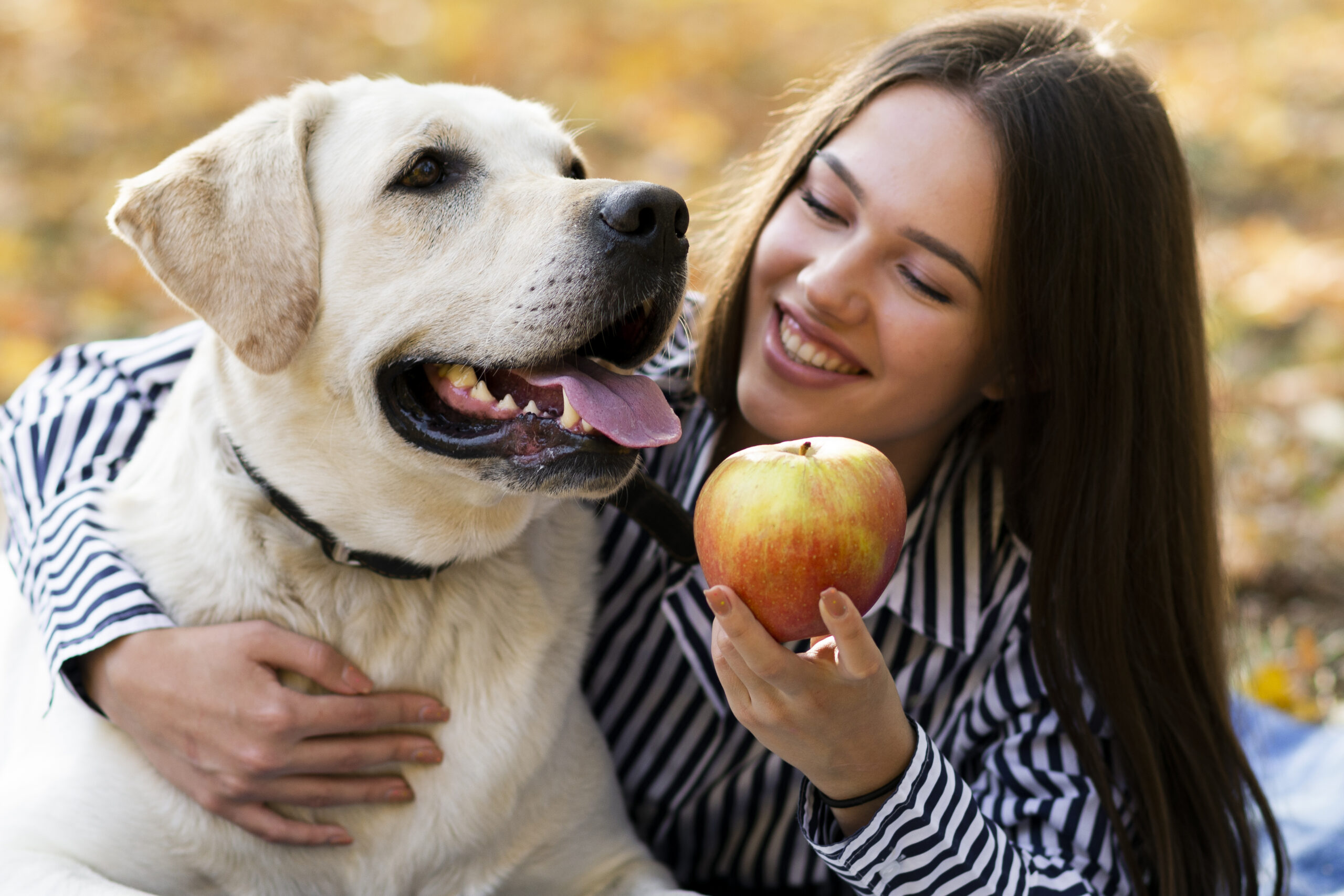 Cachorro pode comer maçã?