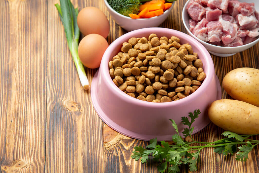 Tigela de ração e alimentos naturais ao redor