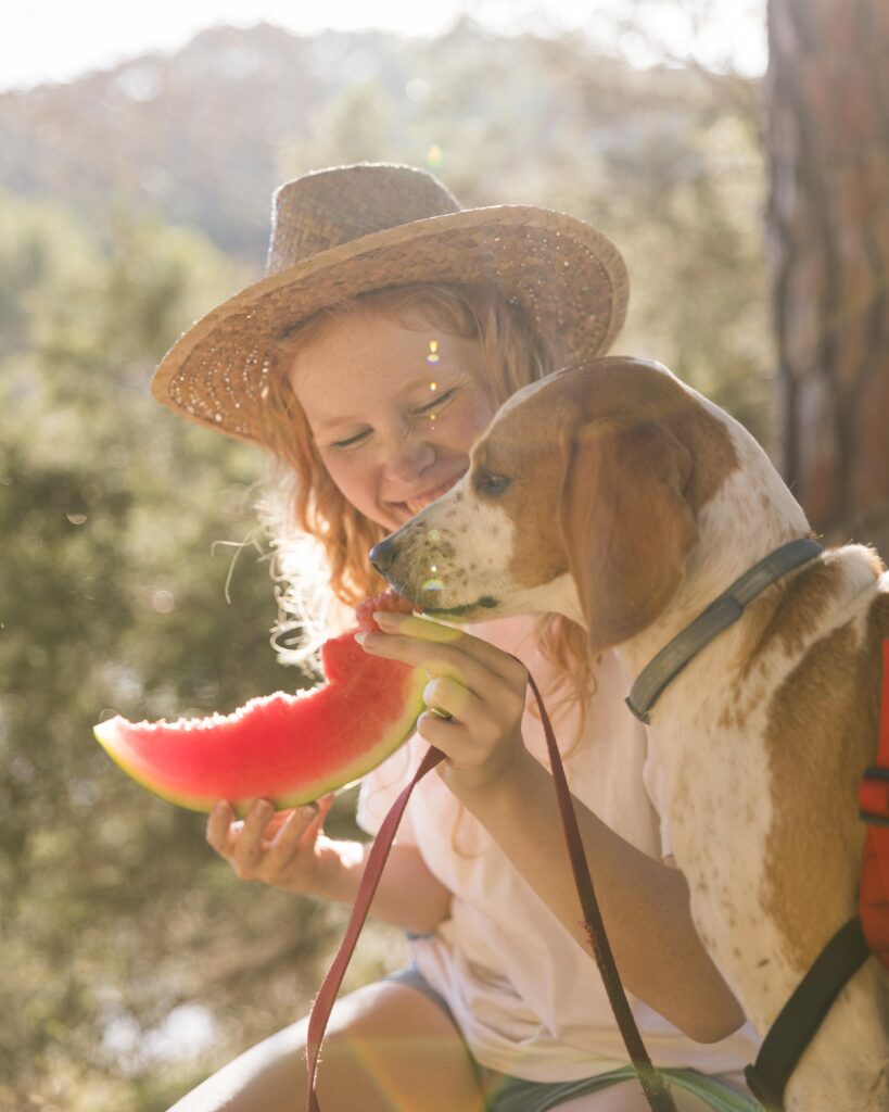 cachorro comendo melancia